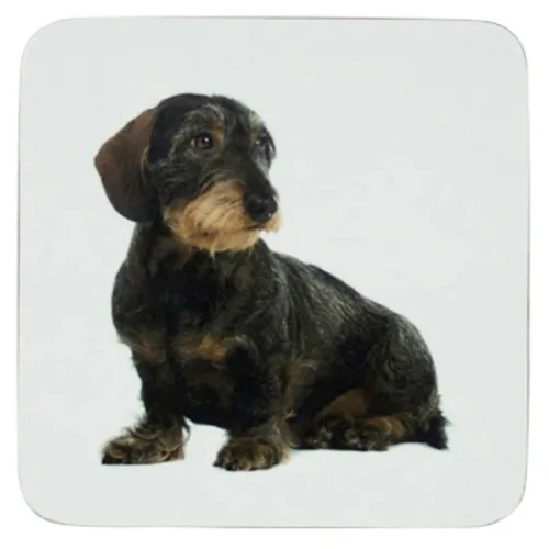 Mars & More glasonderzetter Teckel